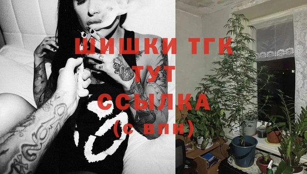 spice Богданович