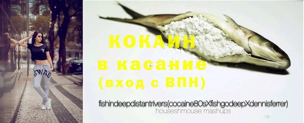 spice Богданович