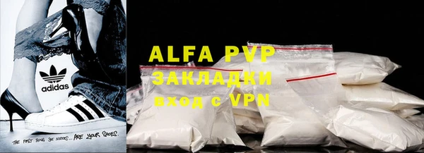 spice Богданович