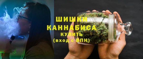 хмурый Богородицк