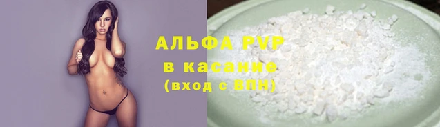 spice Богданович