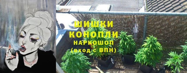 spice Богданович