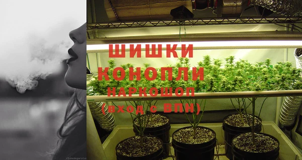 хмурый Богородицк