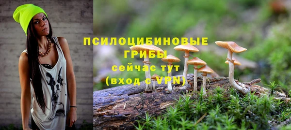 хмурый Богородицк