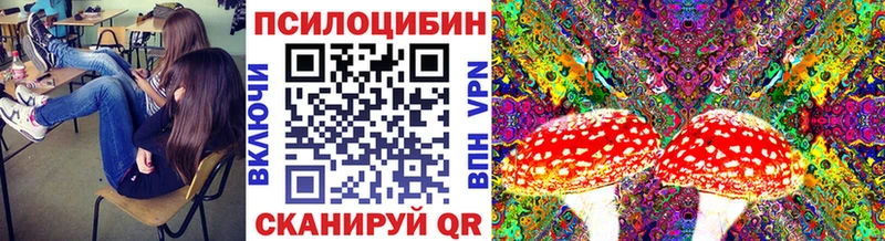 Галлюциногенные грибы Psilocybine cubensis  Муравленко 